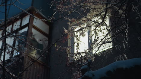 residential building exterior illuminated by glowing light streaming through a window, surrounded by frosty branches of trees, the bright interior light with icy winter evening and dark surroundings