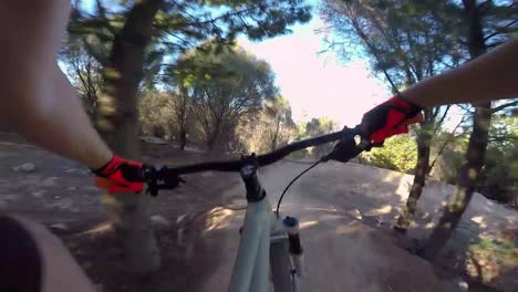 Smooth-POV-footage-using-gimbal-stabiliser-of-a-Mountain-Biker-zig-zagging-down-a-hill-on-a-smooth-narrow-dirt-trail