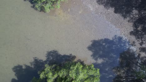 Mangroven-Fluss-Ansicht-üppiges-Grün-Bewölkter-Himmel