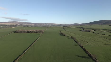 vuelo aéreo sobre largos pastos ingleses verdes con vallas de seto