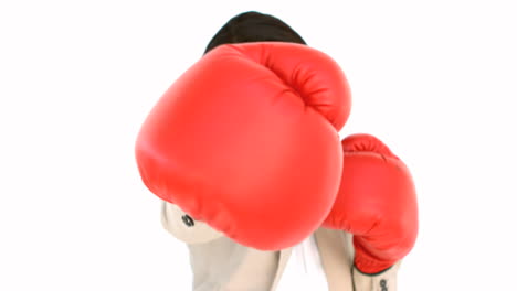 카메라 앞에서 권투하는 사업가