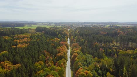 Timelapse-Aéreo-De-Un-Camino-De-Color-Otoñal-Que-Atraviesa-Un-Bosque-Colorido-En-Un-Día-Soleado,-Muchos-Autos-Suben-Y-Bajan-Por-El-Camino-Con-Un-Horizonte-Brillante-Frente-A-Los-Alpes-Bávaros