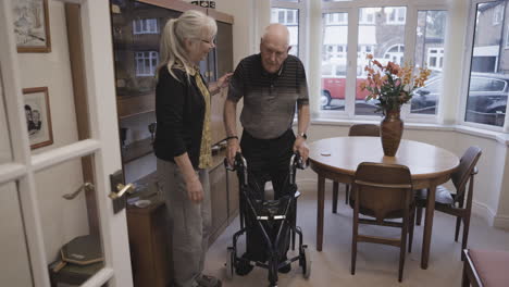 elderly care and support at home