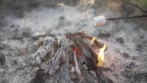 roasting marshmallows over bonfire on the beach at sunset