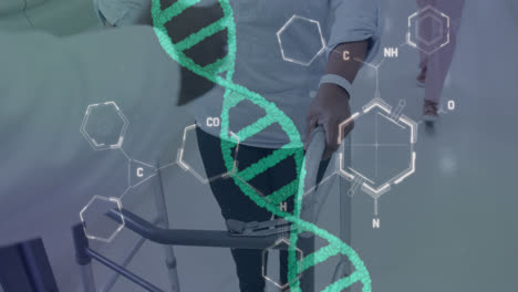 Animation-of-dna-strand-and-chemical-formula-over-diverse-senior-female-patient-with-walking-frame