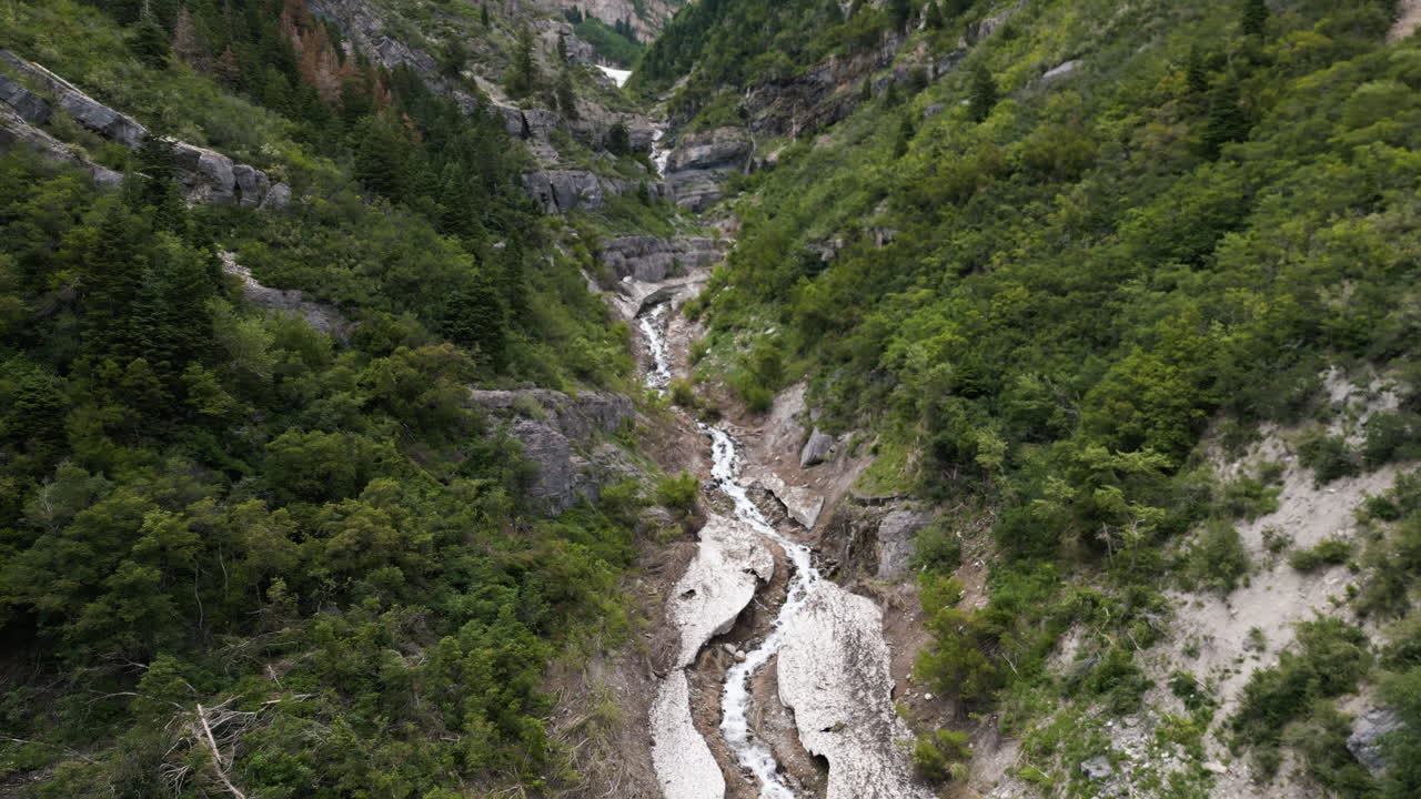 estableciendo una vista aérea que se eleva desde las laderas del valle de bosques exuberantes sobre el arroyo de montaña glacial en utah