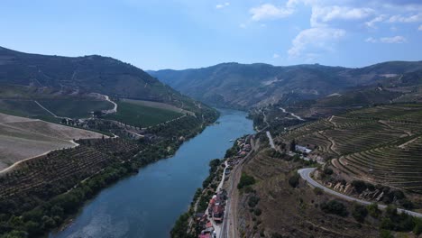 aerial view of the beautiful wine vine lines in the north of portugal