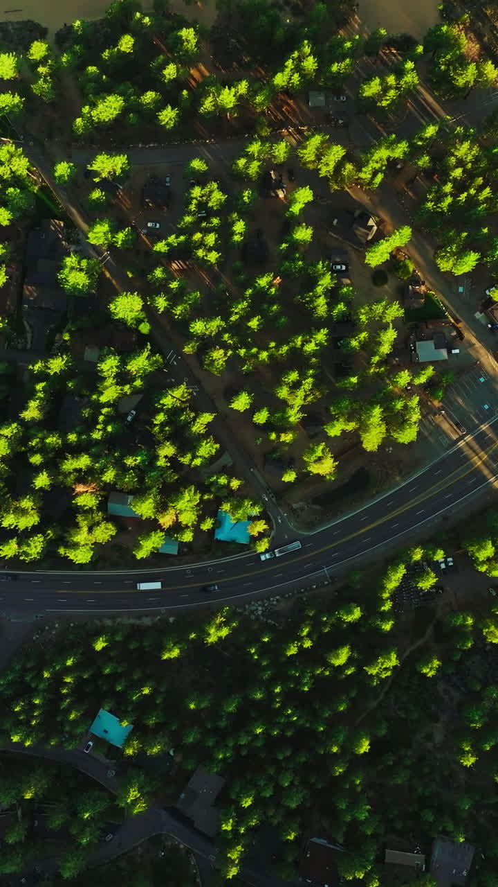 Two-lane motorway through the wooded residential area. Drone footage over the road on sunny daytime. Top view. Vertical video