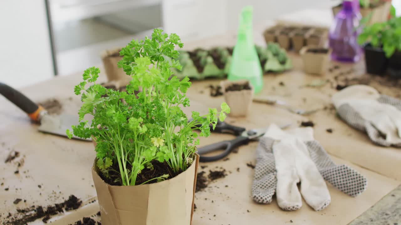 Close up of garden equipment with gloves and plants on table in kitchen