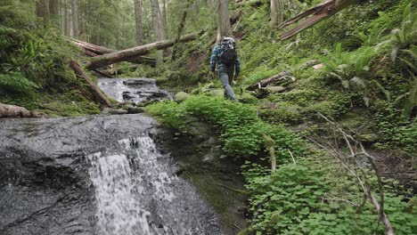white male hiking through and up peaceful lush green forest in the distance with double waterfalls rushing stopping to enjoy the atmosphere
