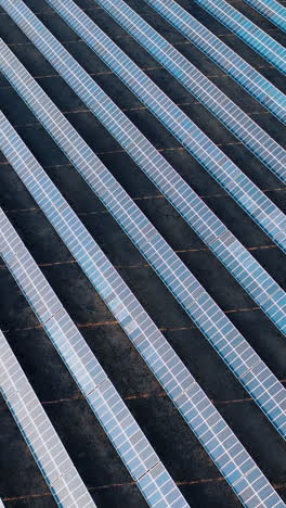 drone view of solar power panels on black autumn fields at sunset. aerial view. vertical video