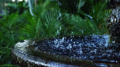 Close-up-of-fountain-at-botanical-garden