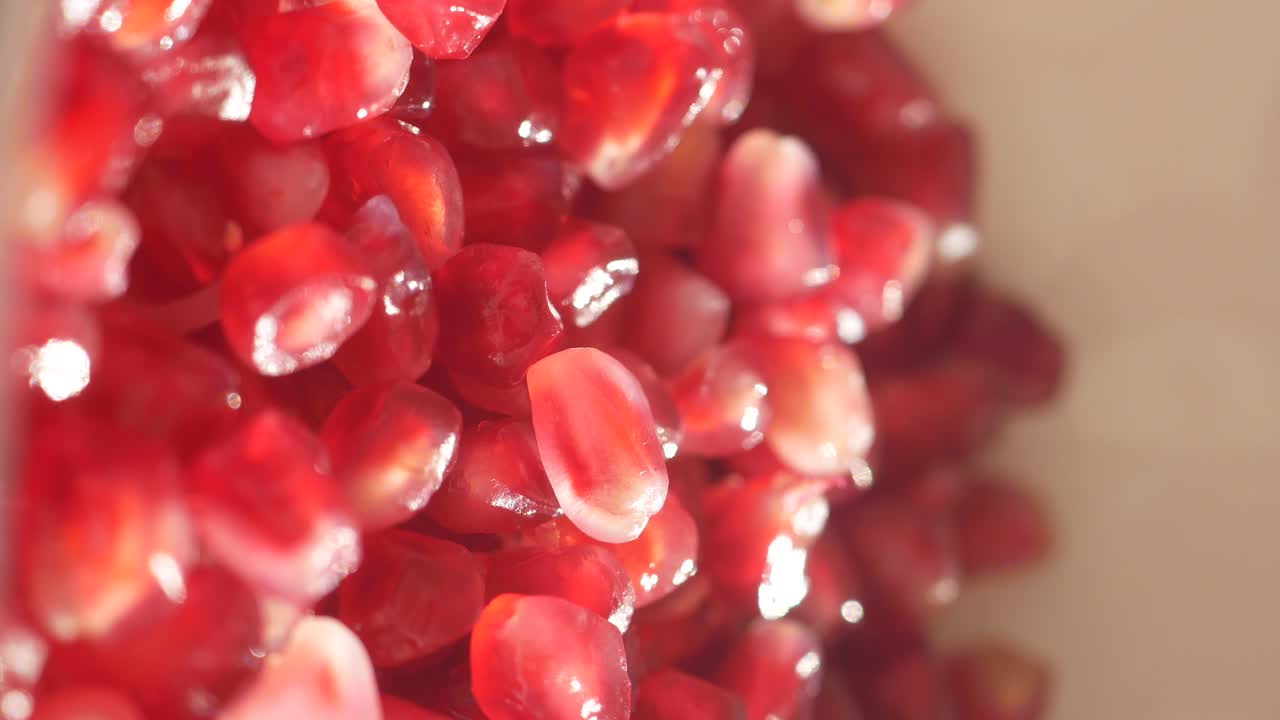 달이 씨의 클로즈업