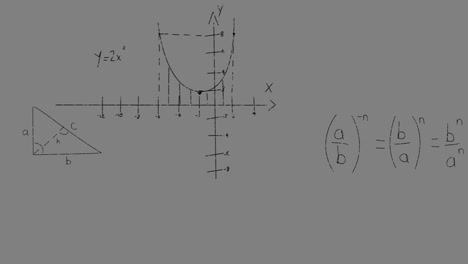 animación de gráficos matemáticos y datos sobre un fondo gris
