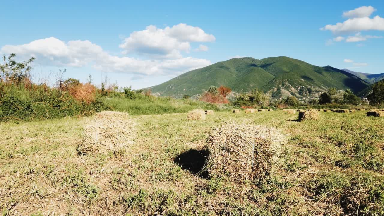 balas de paja en el campo