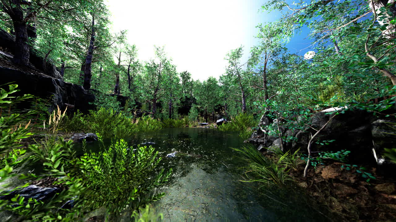 작은 연못 연안 에 초록색 낙 ⁇  나무 들 이 있는 여름 숲 풍경