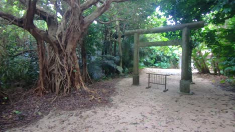 torii místico en medio del parque nacional rural