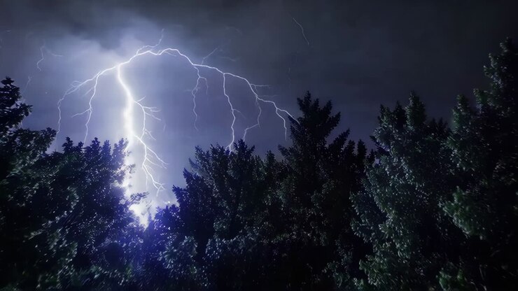 Temporale notturno con fulmini sopra gli alberi.