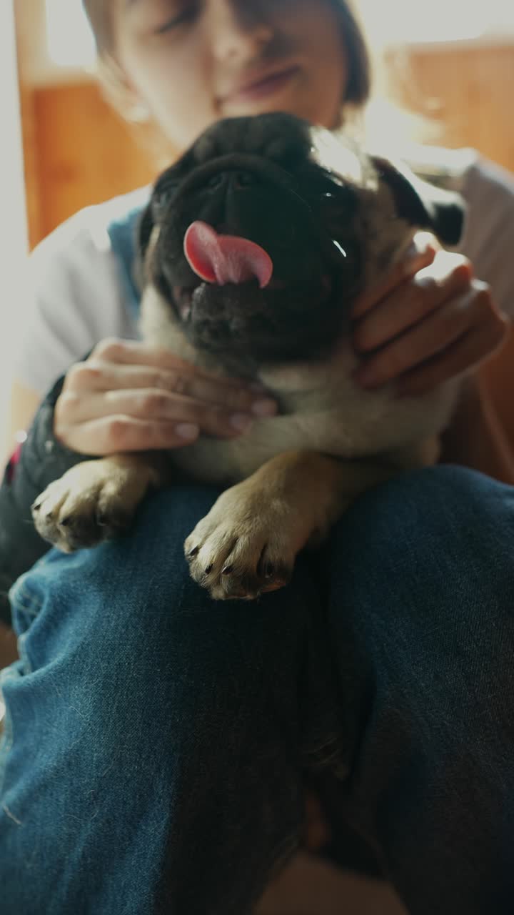 mujer sosteniendo un cachorro de pug