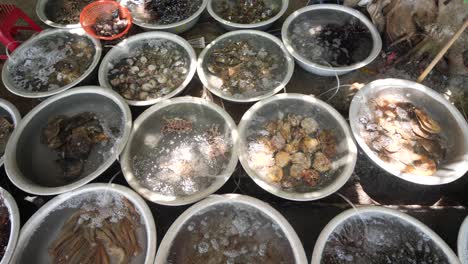 rows of circle basins with different kinds of seafoods being sold in an open market.