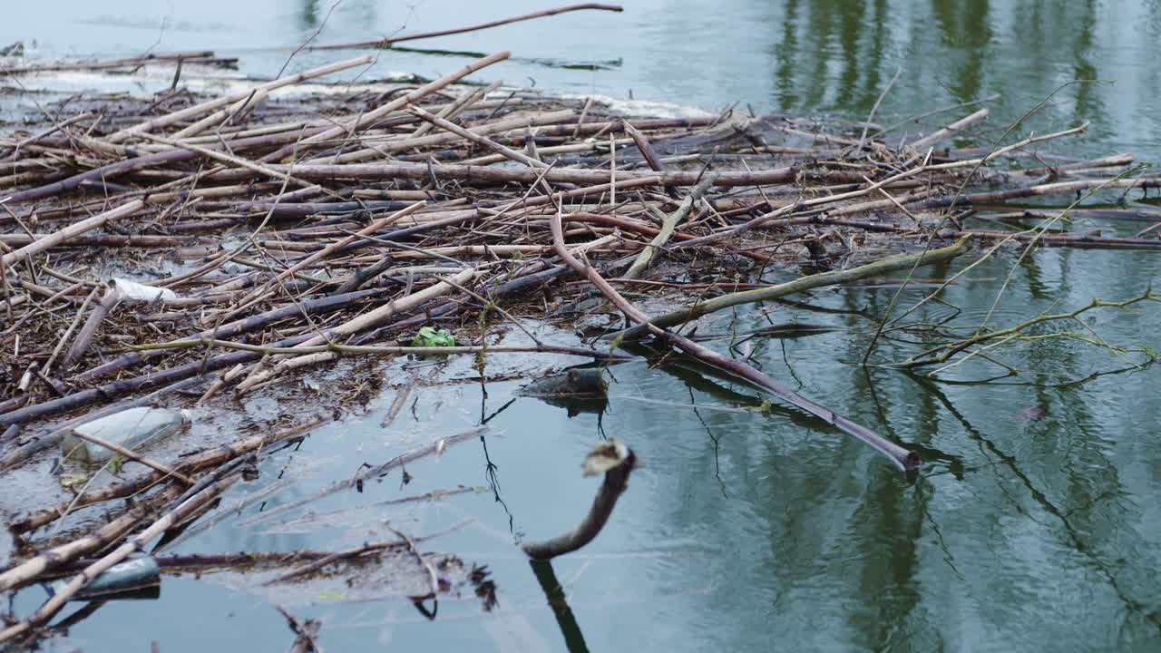 호수에 떠 있는 막대기와 쓰레기