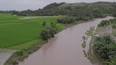 avión no tripulado vuela sobre un río marrón entre los campos de arroz en la isla de sumba, aérea