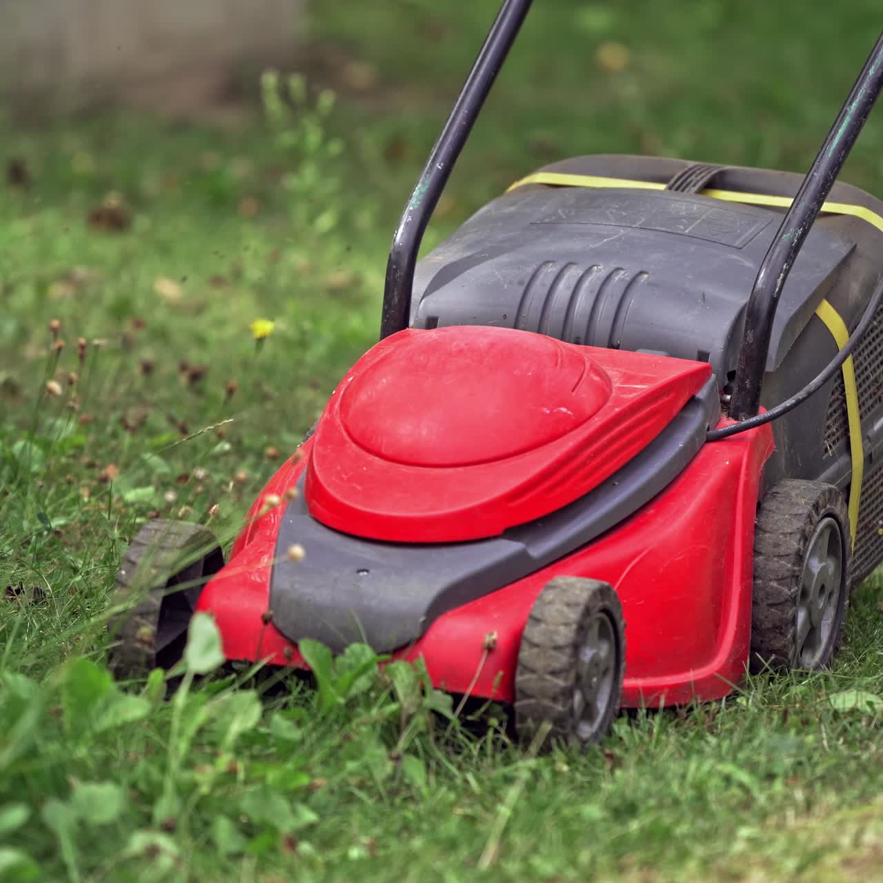 Lawn mower cutting green grass