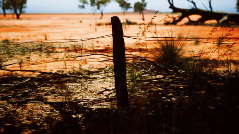 Pampas-with-barbed-wire-fence-and-dry-bushes