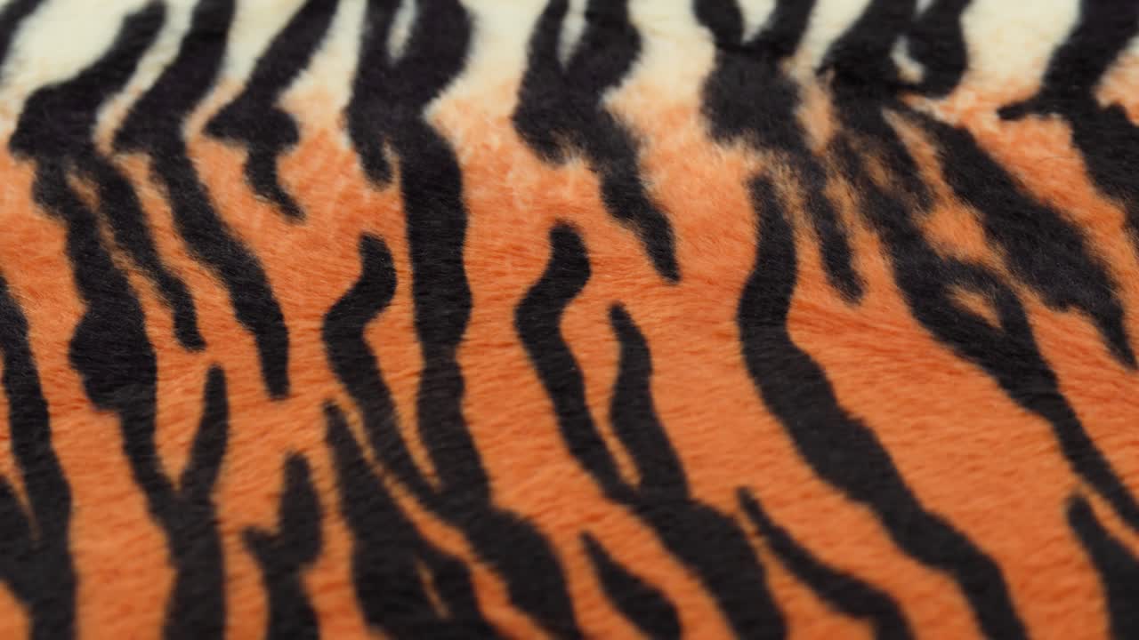 Close-up de tecido vibrante com estampa de tigre laranja e preta