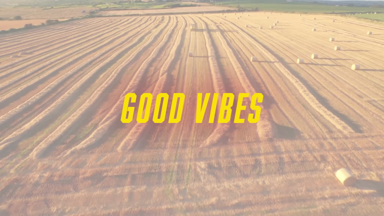 ⁇ 빛이 비치는 농장 위 에 노란색 으로 쓰여진 "좋은 진동"이라는 단어 의 애니메이션