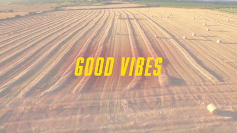 animación de las palabras buenas vibraciones escritas en amarillo sobre un campo agrícola iluminado por el sol