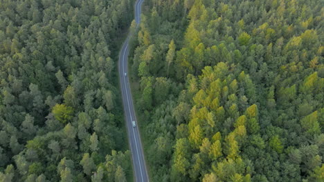 toma aérea de arriba hacia abajo de la conducción de automóviles y camiones en la carretera a través del bosque de abetos durante la luz del sol