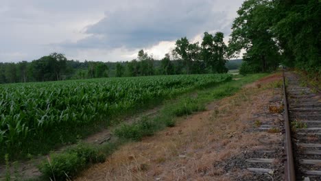 Un-Campo-De-Maíz-Se-Encuentra-Al-Lado-De-Un-Ferrocarril-Con-Un-Bosque-En-La-Distancia-Bajo-Un-Cielo-Nublado