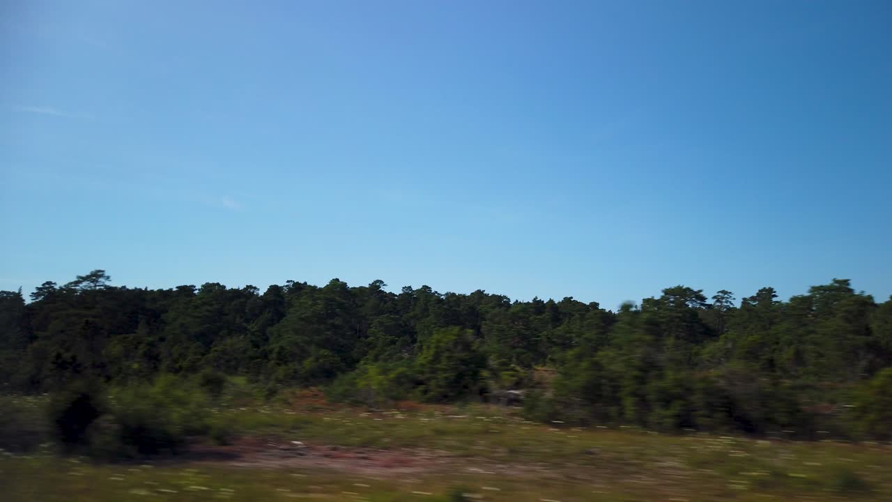 pov de un viaje por carretera a través del paisaje boscoso de gotland, suecia, en verano