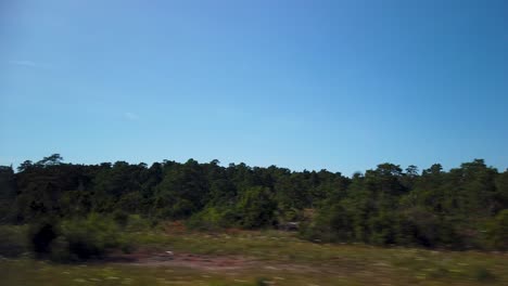 POV-from-road-trip-through-bushy-forest-landscape-at-Gotland,-Sweden,-in-summertime