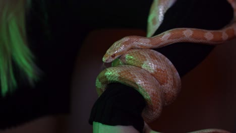 blon woman holding a snake in her arm