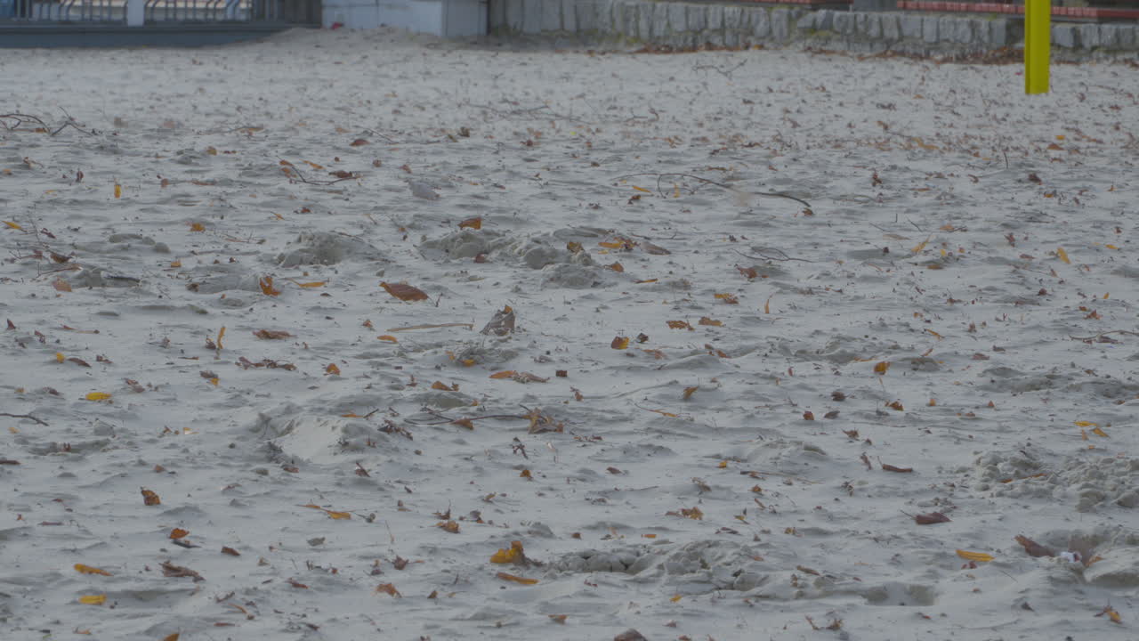 갈색 건조한 잎이 모래 해변 위로 날아가고 있습니다.