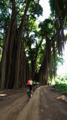 cyclists riding through a lush forest