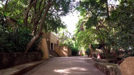 shaded walking path with trees and buildings on both sides, captured with zoom in movement in parque chapultepec, morelos