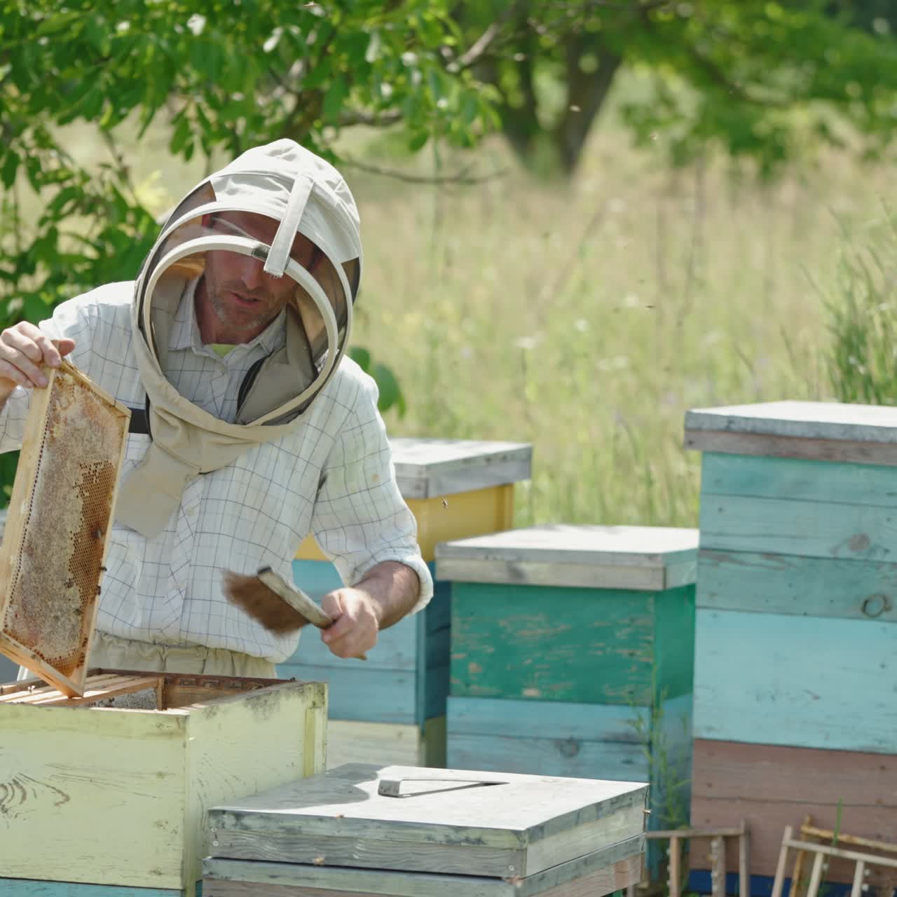 Frame of honeycombs ready for harvesting. Beekeeper is happy and satisfied with his harvest. Nature backdrop