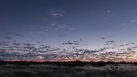 time-lapse of the rising moon and dawn with stars over the namibian savanna.