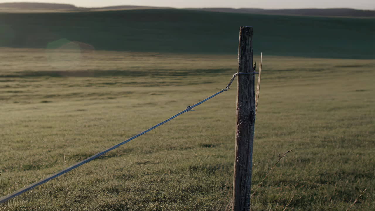 Early Morning Landscape with Fence Post
