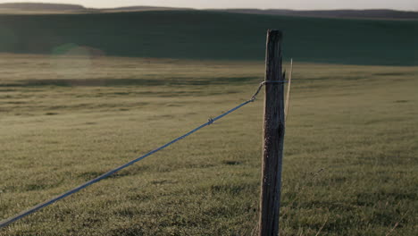 early morning landscape with fence post