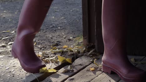 peoples feet entering wooden rustic barn for shelter