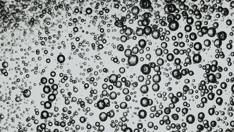 a vortex of oxygen bubbles created by a jet of water a vortex of oxygen bubbles created by a jet of water bubbling sparkling drink with oxygen bubbles on a white background slow motion close up
