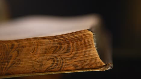 close-up of an old book spine