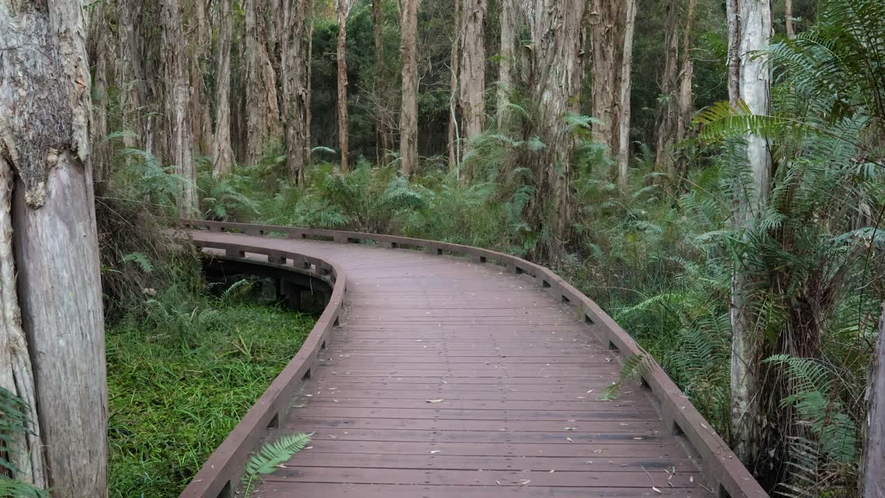 ⁇ 드헬드 와이드  ⁇  멜라레우카 보드워크 트레일,  ⁇ 바바 호수 보호 공원, 골드 코스트,  ⁇ 즈랜드