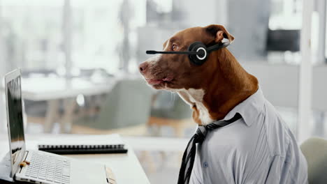 dog working at a call center