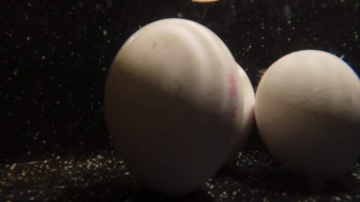 3 eggs falling into a pot to be cooked for breakfast