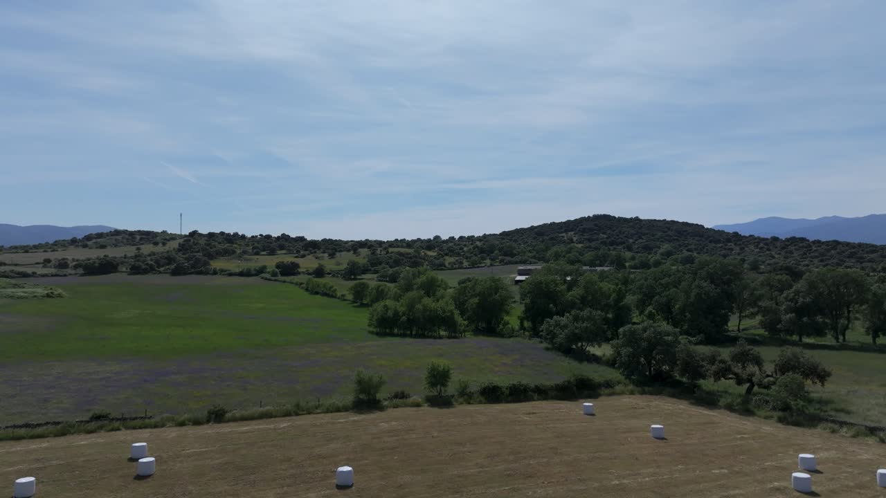 vuelo inverso con dron comenzando en una zona de prados verdes y hay una colina y en un campo han cortado la hierba y hay grandes balas redondas de paja en la provincia de avila